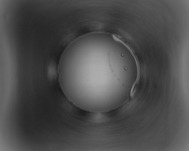 X0000101390287200807071204