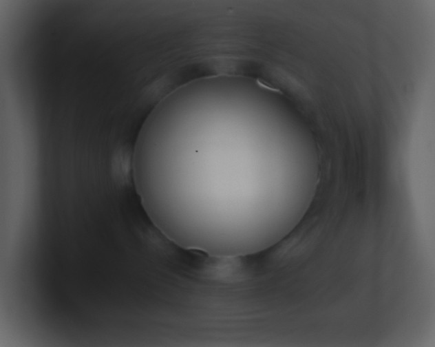 X0000101390288200807071204