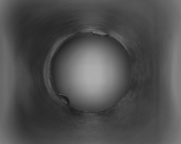 X0000101390289200807071203