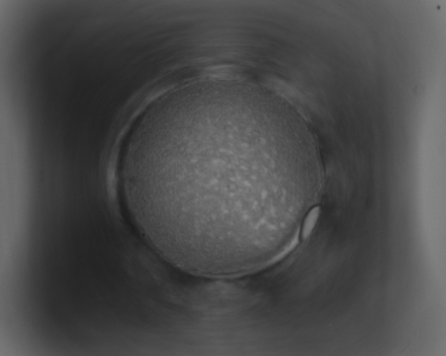 X0000101390290200807071203