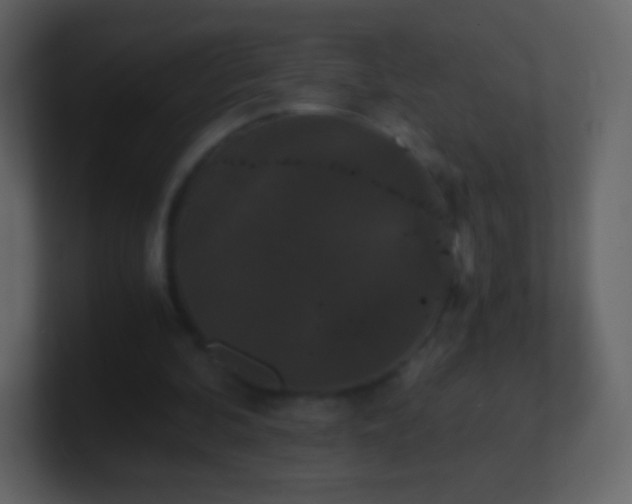 X0000101390292200807071203