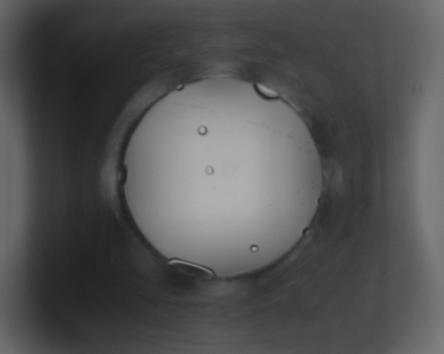 X0000101390293200807071203