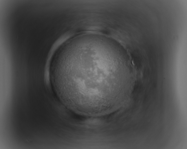 X0000101390294200807071203