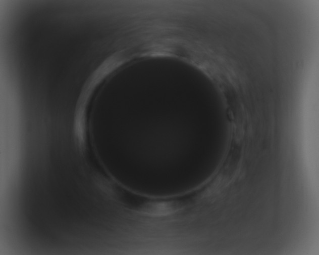 X0000101390295200807071203