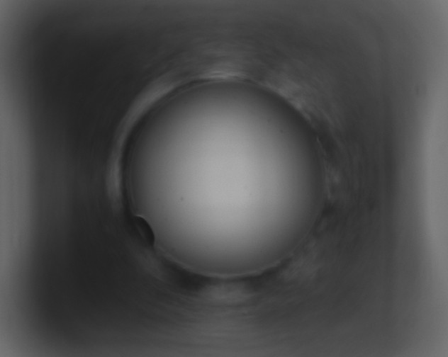 X0000101390296200807071203