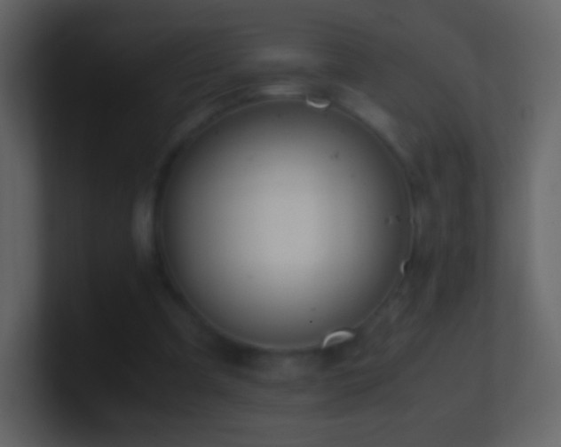 X0000101390297200807071203