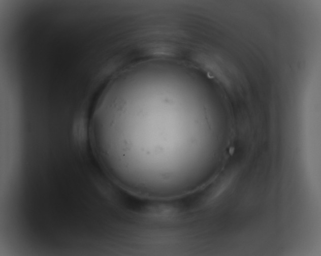 X0000101390299200807071203