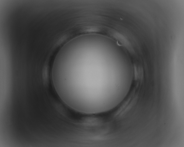 X0000101390300200807071203