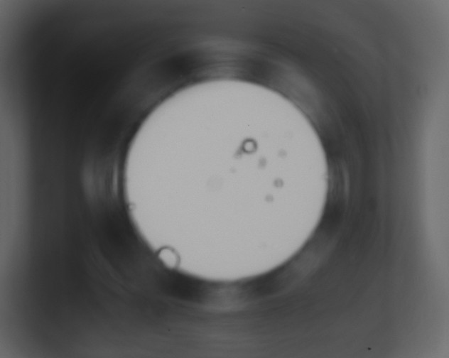 X0000101390301200807071203