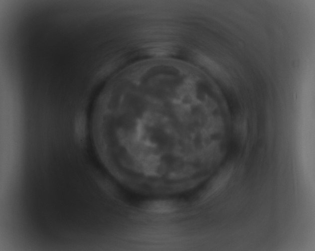 X0000101390303200807071203