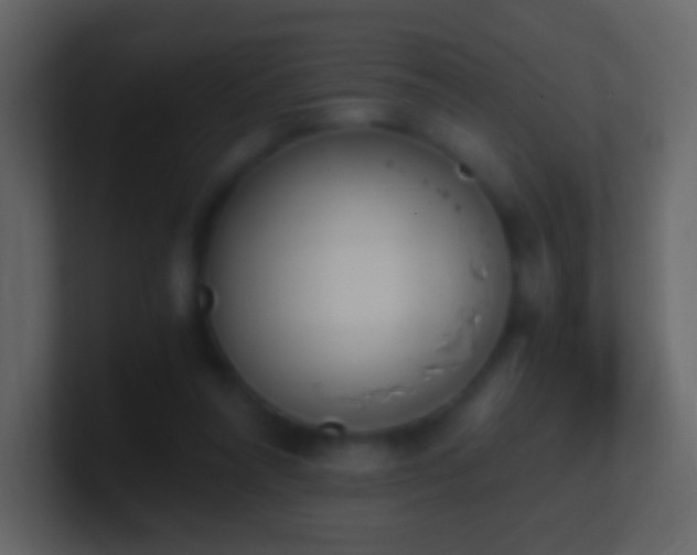 X0000101390304200807071203