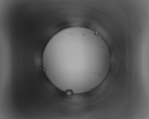 X0000101390305200807071203