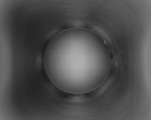 X0000101390306200807071203