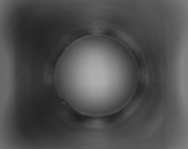 X0000101390307200807071203