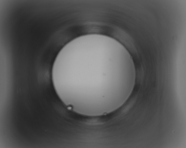 X0000101390309200807071203