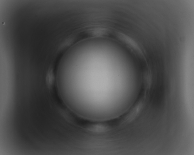 X0000101390310200807071203