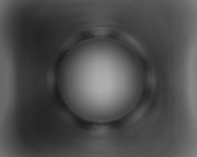 X0000101390311200807071203