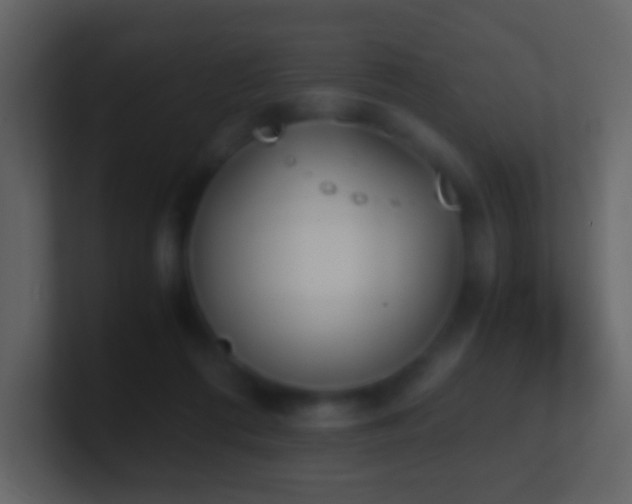 X0000101390312200807071203