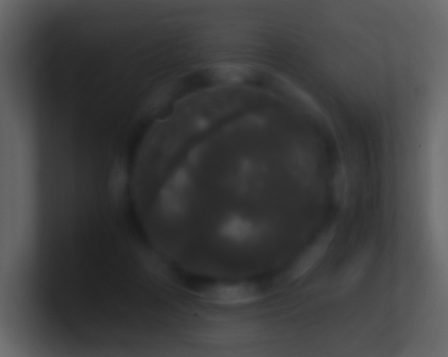 X0000101390314200807071203