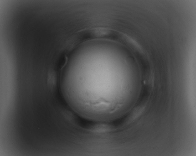 X0000101390315200807071203