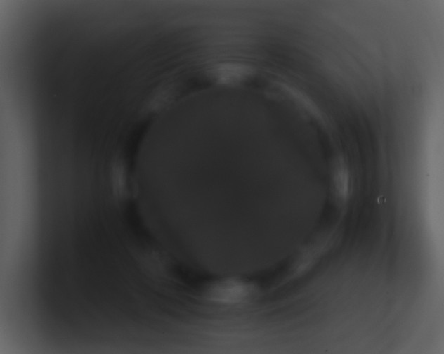 X0000101390316200807071203