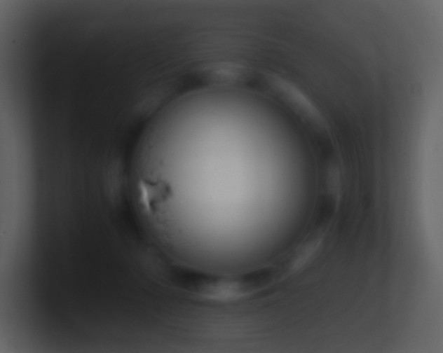 X0000101390318200807071203