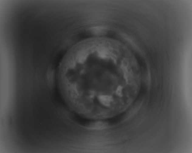 X0000101390319200807071203