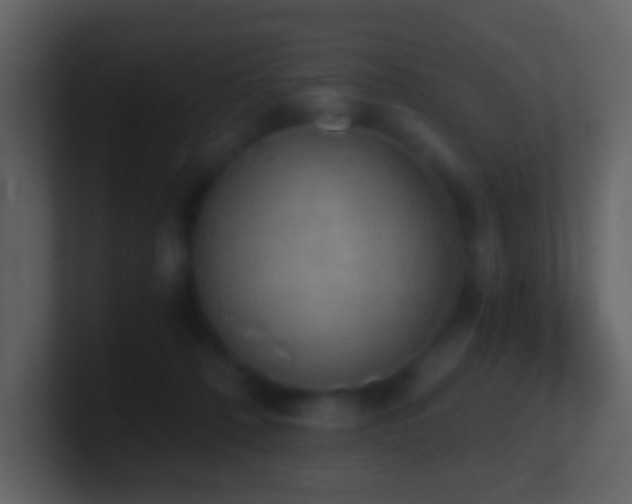 X0000101390320200807071203