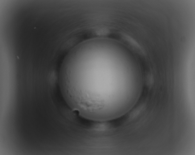 X0000101390321200807071203