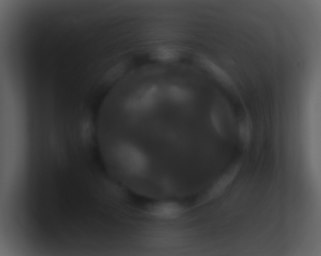 X0000101390322200807071203