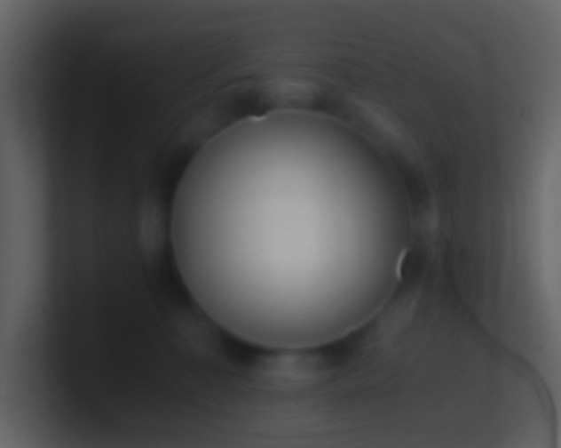 X0000101390323200807071203