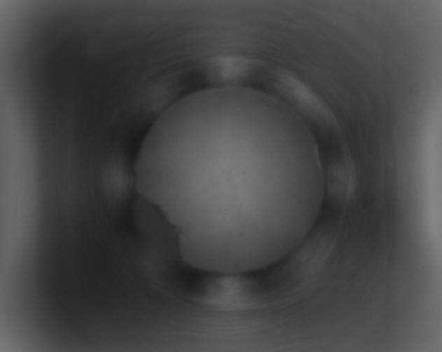 X0000101390324200807071203