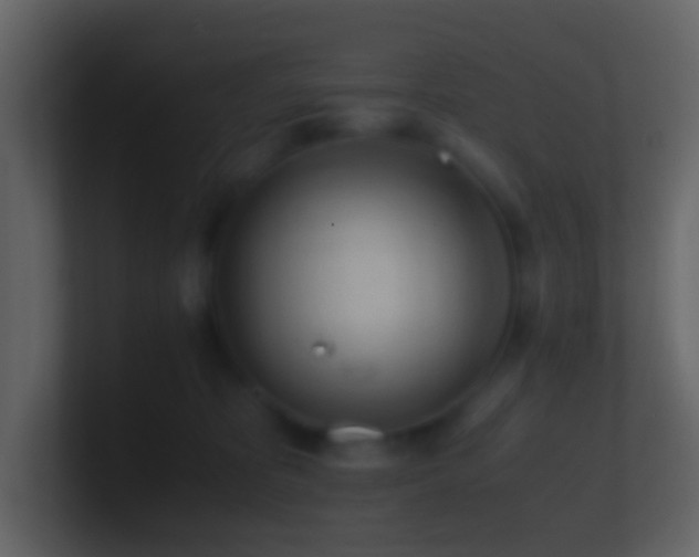 X0000101390325200807071203