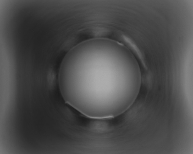 X0000101390327200807071203