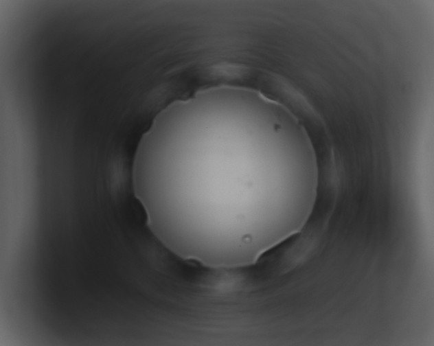 X0000101390328200807071203