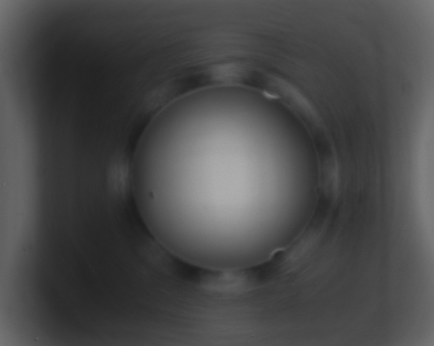 X0000101390329200807071203