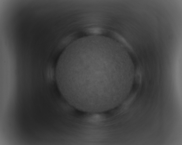 X0000101390330200807071203