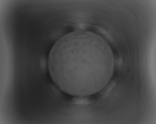 X0000101390331200807071203