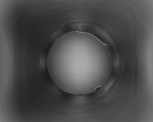 X0000101390332200807071203