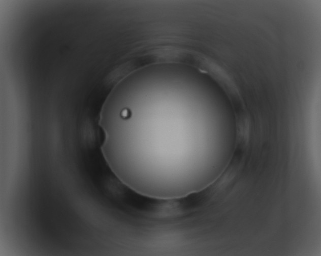 X0000101390333200807071203