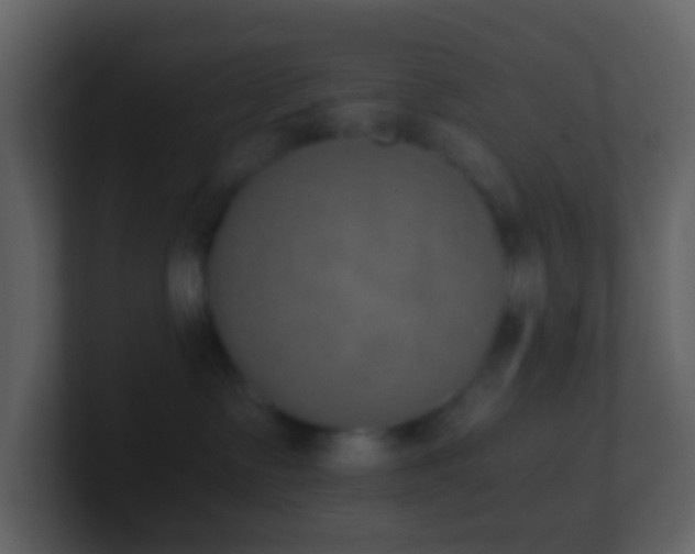 X0000101390335200807071203