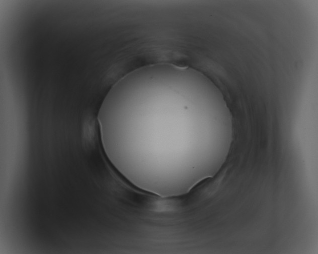 X0000101390336200807071203