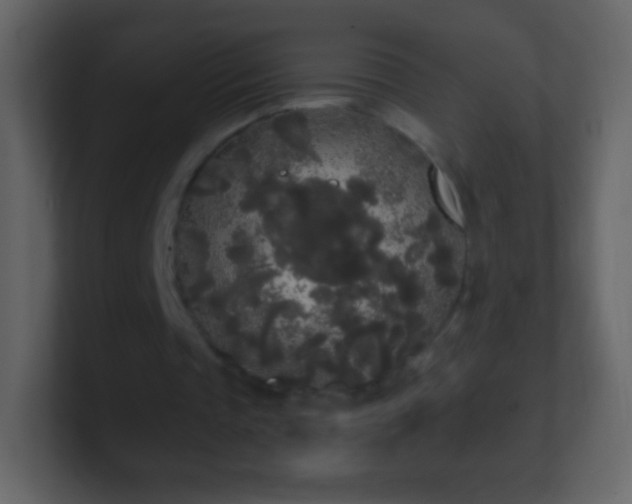 X0000101390337200807071202