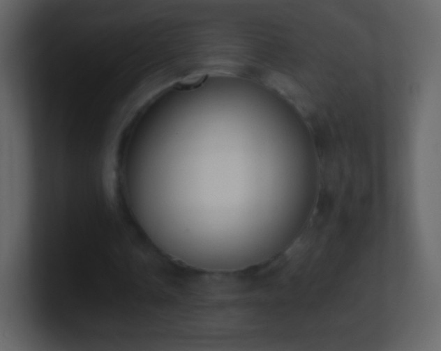 X0000101390338200807071202