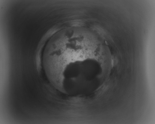 X0000101390339200807071202