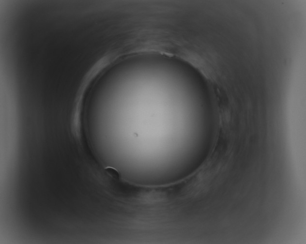 X0000101390340200807071202