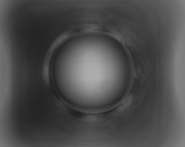 X0000101390341200807071202