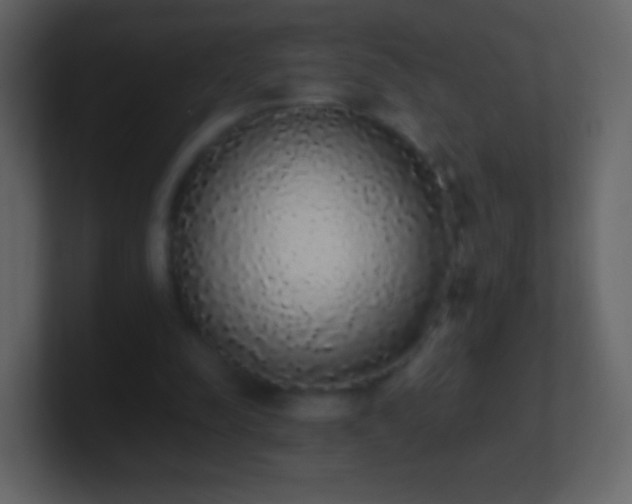 X0000101390342200807071202