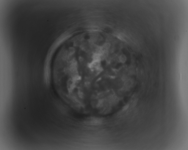 X0000101390343200807071202