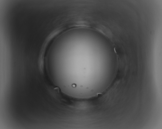 X0000101390344200807071202